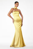 SATIN FITTED MERMAID GOWN