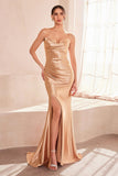 STRAPLESS ELEGANT GOWN