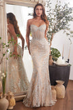 EMBELLISHED SILVER & NUDE GOWN