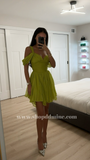 FRANI OLIVE GREEN LAYERED MESH MINI DRESS