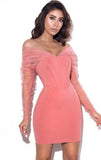 SALMON MESH SLEEVE MINI DRESS