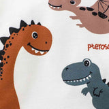 DINOSAUR GRAPHIC HOODIE AND PANT SET