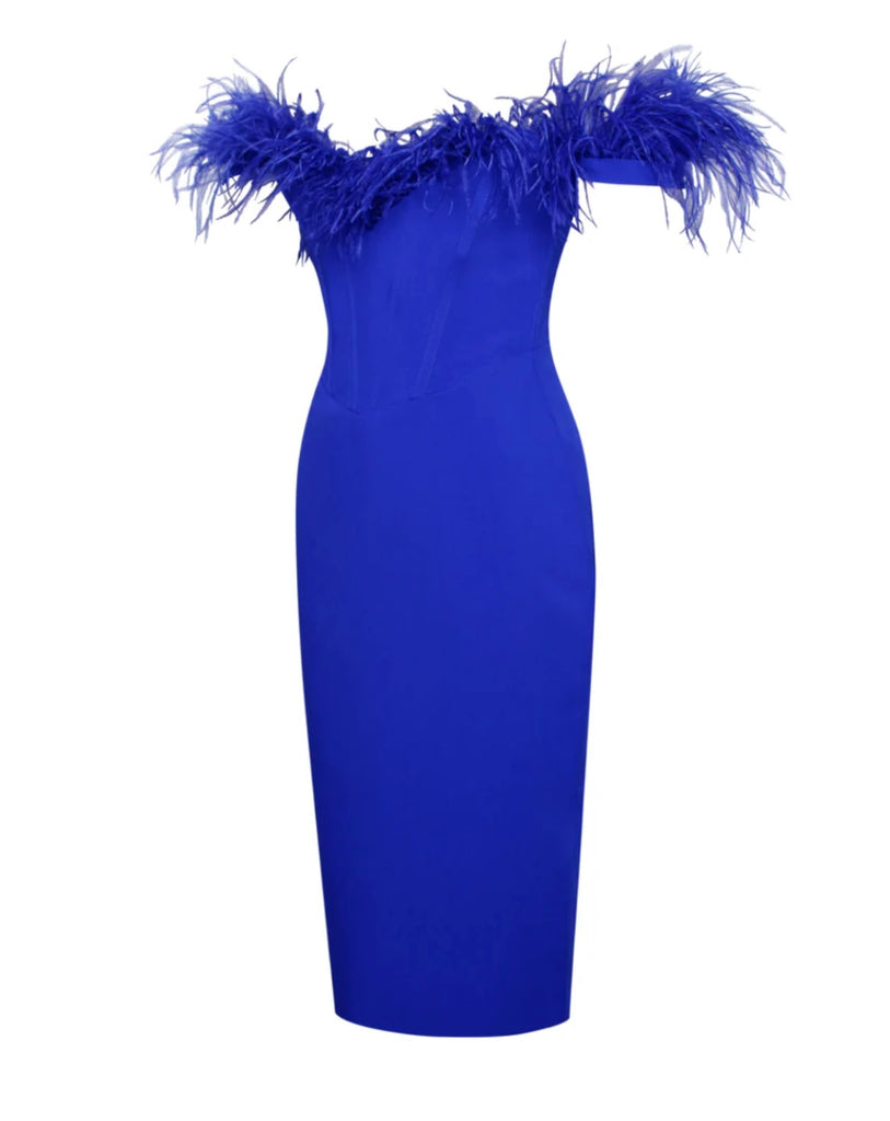 Elaine Feather Corset Maxi Tulle Dress