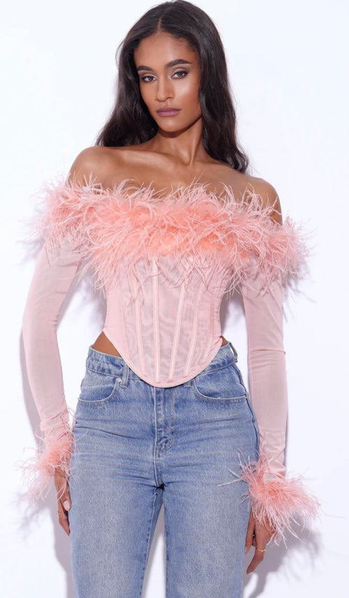 Mesh Feather Corset Long Sleeve Top – Fanxity