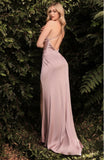 COWL NECK NUDE SATIN GOWN